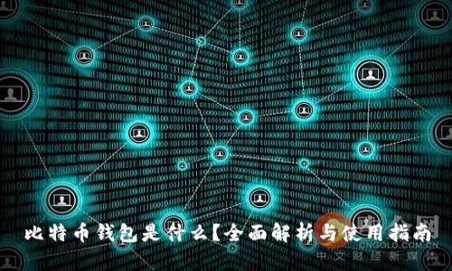 比特币钱包是什么？全面解析与使用指南